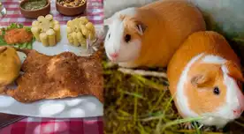 Cuy peruano: el superalimento andino que conquista mesas y fortalece la salud de los peruanos Cuy peruano: el superalimento andino que conquista mesas y fortalece la salud de los peruanos