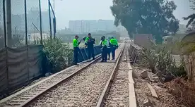 Terror en Carapongo: hallan dos hombres asesinados con brutal violencia cerca del río Terror en Carapongo: hallan dos hombres asesinados con brutal violencia cerca del río