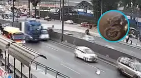 Policía pierde la vida al ser atropellada por tráiler en Los Olivos: imágenes revelan sus últimos minutos