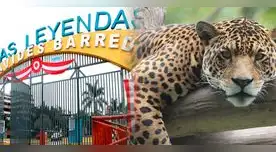 El congresista Guido Bellido presentó proyecto de ley para cerrar los zoológicos en el Perú