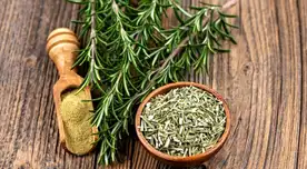 Descubre cómo el romero puede mejorar tu memoria, concentración y salud.