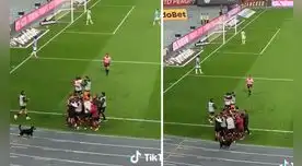 Un perro sorprendió a hinchas celestes al meterse a la cancha para 'celebrar' con los jugadores de Universitario. Foto: TikTok/Luciacespedes72