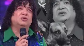 Carlos Vílchez ROMPE EN LLANTO al pronunciarse del DESGARRADOR fallecimiento de su mascota: "Te voy a amar toda la vida"