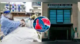 Minsa emitió una alerta epidemiológica por un brote de la bacteria Ralstonia pickettii Minsa emitió una alerta epidemiológica por un brote de la bacteria Ralstonia pickettii