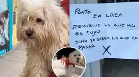 Albergue 'Hullitas Felices Perú' denunci recibir amenezas de una familia tras rescate de perro