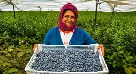Pequeños agricultores peruanos