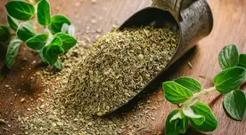 El orégano puede ayudarte a prevenir enfermedades.