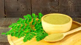 Productos de moringa bajo investigación FDA anuncia retiro por brote de salmonela. Productos de moringa bajo investigación FDA anuncia retiro por brote de salmonela.