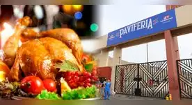 Conoce cómo acceder a diversos puestos de trabajo en las paviferias de San Fernando este 2025