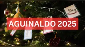 Este es el verdadero funcionamiento del aguinaldo en Estados Unidos (y quién lo cobra). Este es el verdadero funcionamiento del aguinaldo en Estados Unidos (y quién lo cobra).