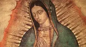 Frases a la Virgen de Guadalupe 2025 Frases a la Virgen de Guadalupe 2025