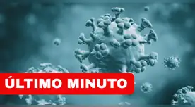 Gripe H3N2 ya está en Perú: MINSA confirma los dos primeros casos en Lima. Gripe H3N2 ya está en Perú: MINSA confirma los dos primeros casos en Lima.
