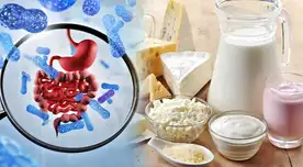 Aprende cómo los probióticos benefician tu intestino, inmunidad y más. Aprende cómo los probióticos benefician tu intestino, inmunidad y más.