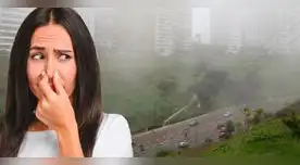 Limeños han reportado un fuerte olor a pescado desde muy tempranas horas Limeños han reportado un fuerte olor a pescado desde muy tempranas horas