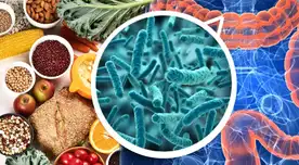 Mejora tu digestión y fortalece tus defensas con estos 5 alimentos que promueven el equilibrio de la microbiota.