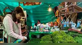 Serfor emitió una alerta por el uso del musgo en los nacimientos por Navidad Serfor emitió una alerta por el uso del musgo en los nacimientos por Navidad