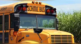 Riesgo para estudiantes plomo detectado en el agua potable de escuelas de Nueva York. Riesgo para estudiantes plomo detectado en el agua potable de escuelas de Nueva York.