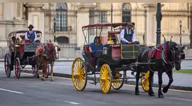 Poder Judicial ordena el fin de los paseos en carroza con caballos en la Plaza de Armas de Lima. Poder Judicial ordena el fin de los paseos en carroza con caballos en la Plaza de Armas de Lima.