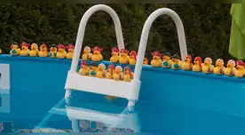 Peligro silencioso retiran piscinas elevadas por riesgo de ahogamiento infantil.