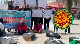 52 niños muertos por tosferina, madres marchan exigiendo emergencia sanitaria: “Nuestros hijos se están muriendo" 52 niños muertos por tosferina, madres marchan exigiendo emergencia sanitaria: “Nuestros hijos se están muriendo"