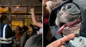 Inspectora ordena bajar a pasajeros del Metropolitano por joven que viajaba con su perro: “Era el último bus en plena Navidad”