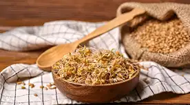 El germen de trigo es fuente de vitaminas B, fibra y antioxidantes.