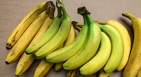 Descubre cómo el almidón resistente del plátano verde puede reducir el riesgo de cáncer hereditario.