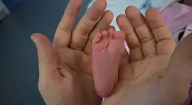 Pago confirmado del gobierno así puedes recibir 1.250 dólares en Estados Unidos. Pago confirmado del gobierno así puedes recibir 1.250 dólares en Estados Unidos.