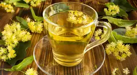 El tilo es una planta medicinal con usos relajantes, antioxidantes y desintoxicantes.