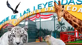 Falleció histórico animal en el Parque de las Leyendas. Falleció histórico animal en el Parque de las Leyendas.
