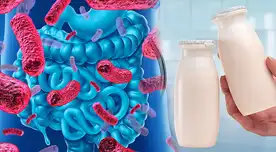 Descubre los mitos más comunes sobre los probióticos y cómo identificarlos