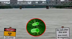 Ciudadanos pueden contraer E.coli en estas zonas de Washington. Ciudadanos pueden contraer E.coli en estas zonas de Washington.