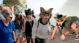 Therians: la tendencia de jóvenes que se creen animales y aúllan en plazas de Latinoamérica