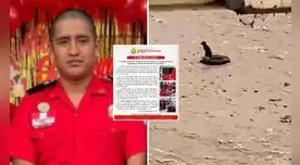 Patrick Iroshi Ospina Orihuela arriesgó su vida para salvar al pequeño perrito que fue arrastrado por el río Rímac. Foto: composición EP