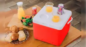 El uso adecuado de coolers se vuelve clave para mantener alimentos y bebidas en condiciones seguras.