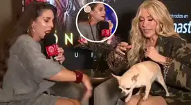 Rebeca Escribens pasa el susto de su vida cuando perro de Yuri casi la MUERDE en plena entrevista: "Ay, Santo Cristo"