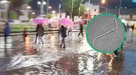 Extraña enfermedad avanza en PERÚ tras intensas lluvias: reportan muertos y casi 100 casos, según el Minsa