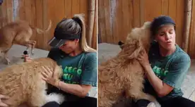 Alejandra Baigorria enternece internet con inesperado gesto hacia perrito callejero.
