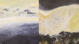IMARPE reporta floraciones algales nocivas en la costa: ¿de qué se trata este fenómeno?