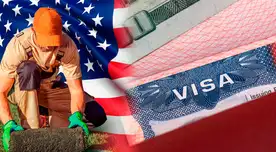 Ofrecen visas para trabajar legalmente sin título universitario en EE.UU.