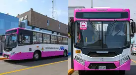 Presentan nueva flota del Corredor Rosado con buses a GNV: conoce cuál es su ruta. Presentan nueva flota del Corredor Rosado con buses a GNV: conoce cuál es su ruta.