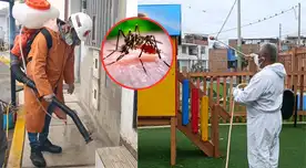 Este distrito inicia megafumigación contra plagas para frenar el dengue y recuperar espacios.