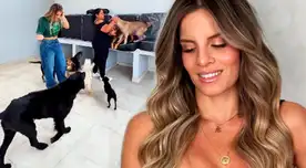 Alejandra Baigorria sorprende al mostrar el ALBERGUE para ANIMALES que ayudó a reconstruir: "Nos tomó mucho tiempo"