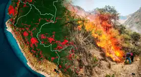 Senamhi lanza ALERTA ROJA: Estas son las 7 regiones en riesgo de sufrir INCENDIOS FORESTALES.
