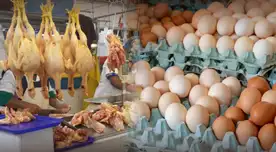 Gripe aviar en Perú: ¿Es seguro comer pollo y huevos tras alerta sanitaria de Senasa? Minsa responde. Gripe aviar en Perú: ¿Es seguro comer pollo y huevos tras alerta sanitaria de Senasa? Minsa responde.