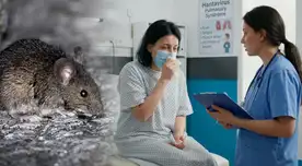 ALERTA SANITARIA | Chile activa protocolos de bioseguridad tras 18 fallecidos por hantavirus.