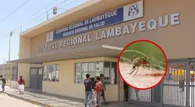 Paciente con malaria permanece internado tras viajar a Camerún. Paciente con malaria permanece internado tras viajar a Camerún.