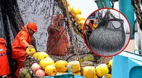 Produce establece reglas especiales para aprovechar especies que aparezcan en el mar durante El Niño Costero.