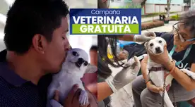 Veterinaria gratis para perros y gatos: revisa dónde será la campaña y qué servicios ofrecerán. Veterinaria gratis para perros y gatos: revisa dónde será la campaña y qué servicios ofrecerán.