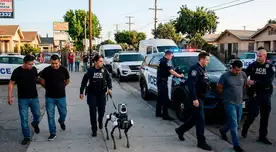 ICE quiere incorporar perros robots en los operativos migratorios.